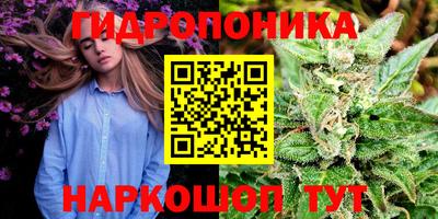 винт Партизанск