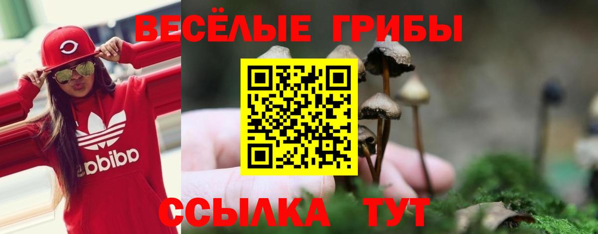 Галлюциногенные грибы Psilocybe  Вход с VPN  Орёл 